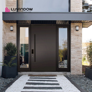 Modern Design Villas Black Profile Aluminum Frame Front Entry Pivoting Doors For Houses