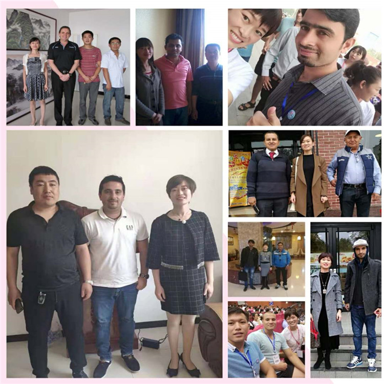 Factory Aluminium Window Screen Wire Mesh for machhar Jali/aluminium Woven mesh net for Mosquito or rat Barriers