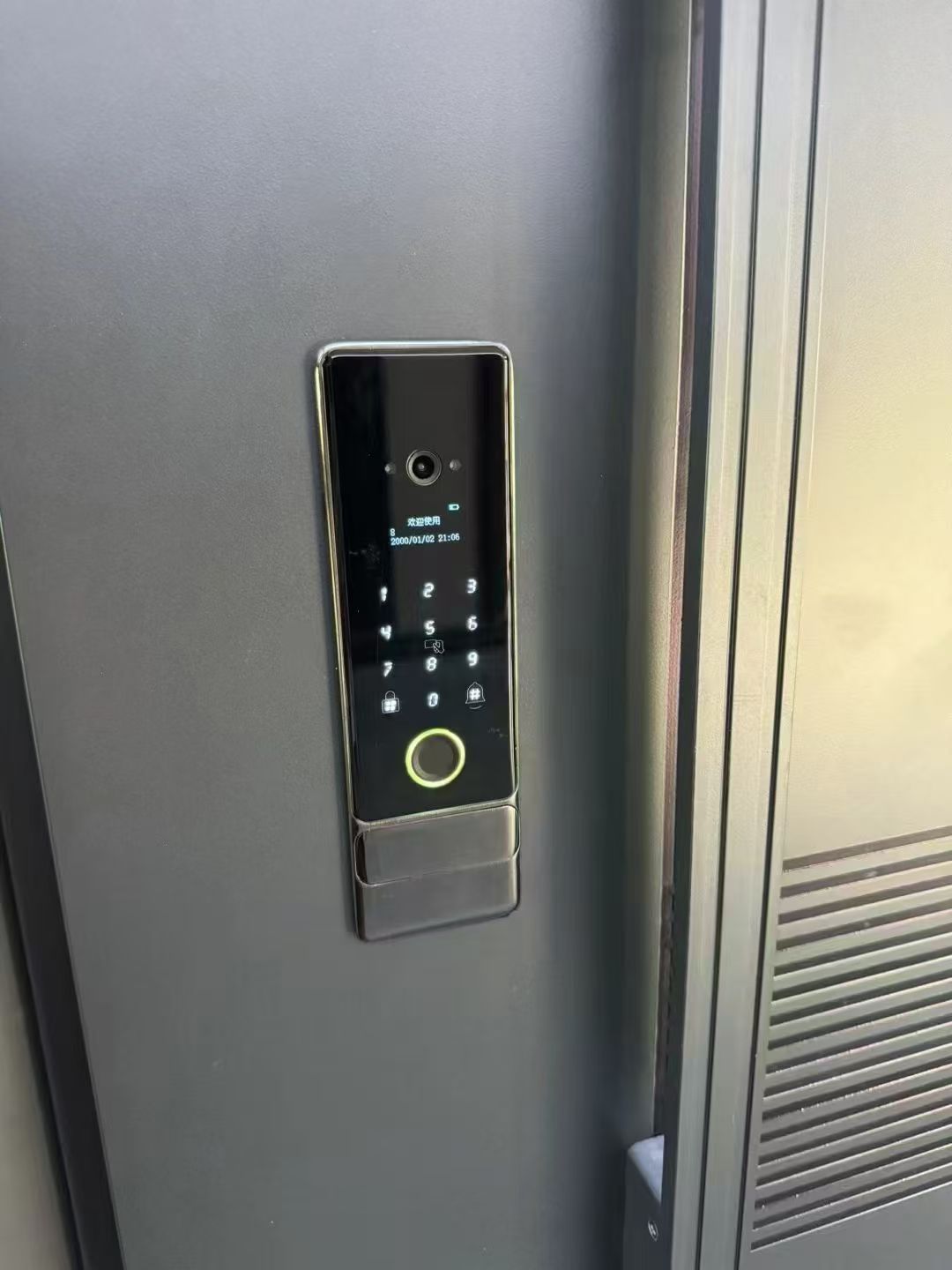 Modern Aluminum Door with Glass Inserts, Anti-Theft Security Exterior Door for Villa, Matte Grey Finish