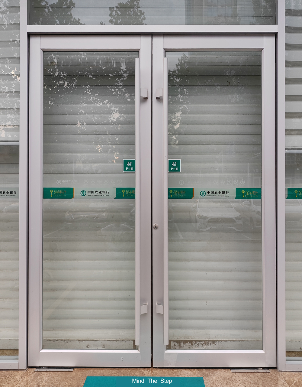 Storefront Glass Front Door