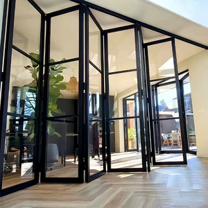 Modern Exterior Foldable Bi-Folding Glass Door with Aluminum Frame Waterproof Fiberglass Screen