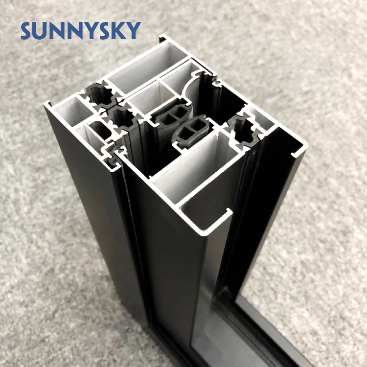 Sunnysky NFRC Steel Look Swing Glass French Doors Thermal Break Aluminum Casement Crittall Door Hinged Patio Partition Doors