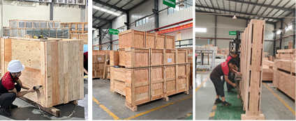 Packaging Protection