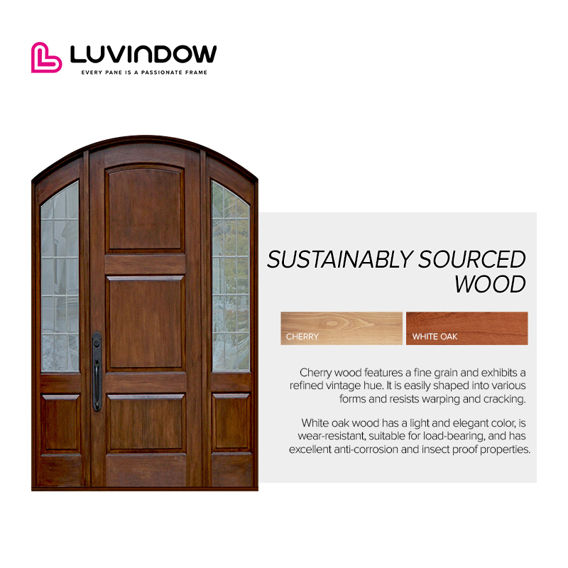 Latest Design Original Factory Main Entrance Exterior Front Entry Doors Porte Solid Wood External Pivoting Doors