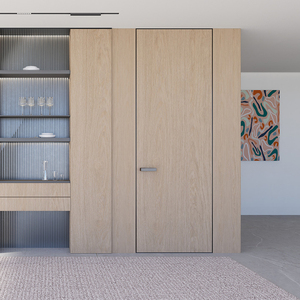 Custom Frameless Fire Rated Sound Proof Door