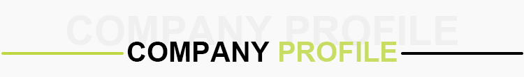 Company Profile View 1
