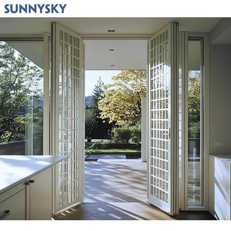 Sunnysky NFRC Steel Look Swing Glass French Doors Thermal Break Aluminum Casement Crittall Door Hinged Patio Partition Doors