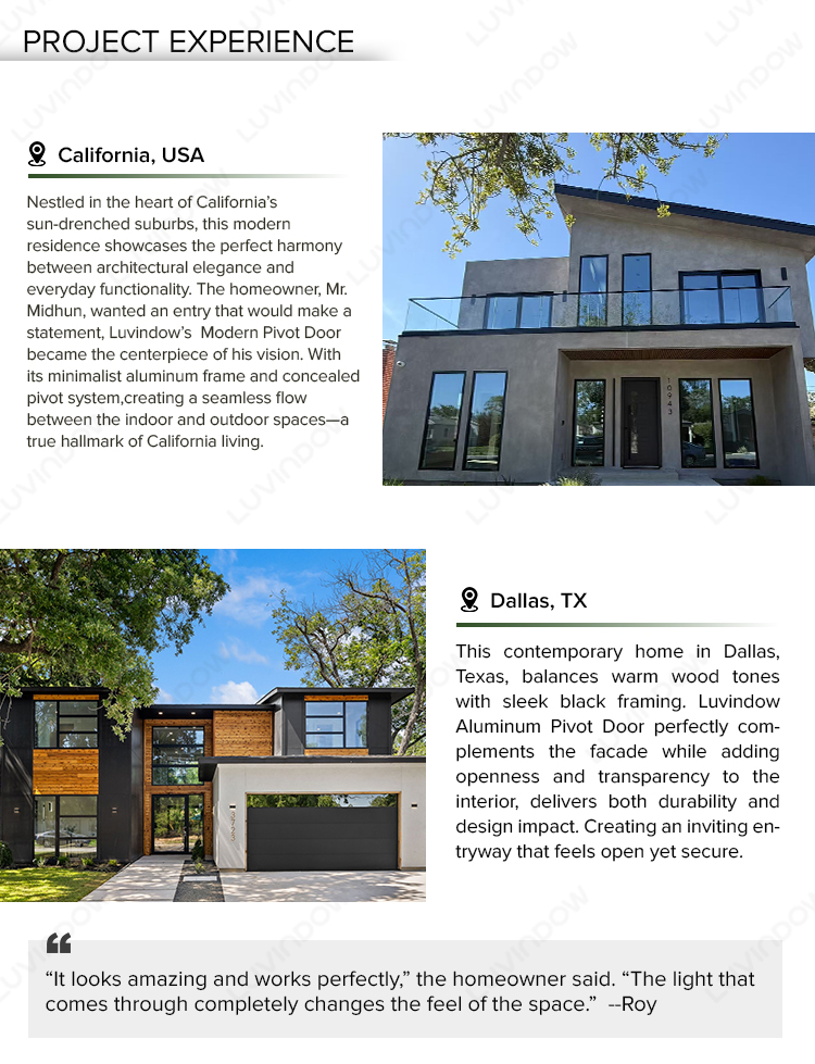 Modern Aluminum Door Profile View
