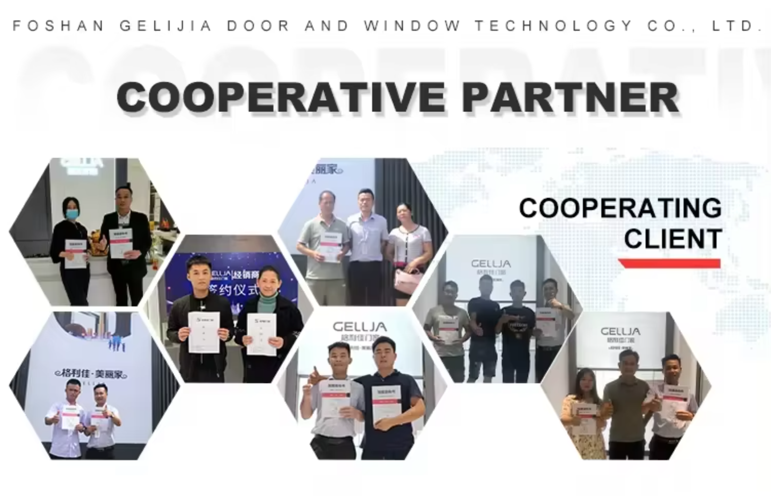 Extended Company Profile Overview