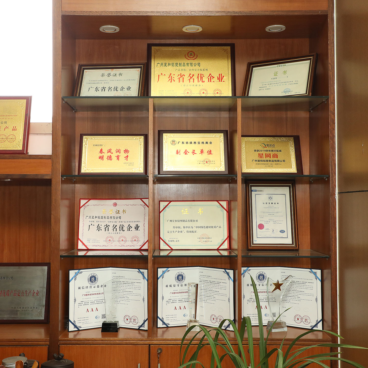 Certification 5