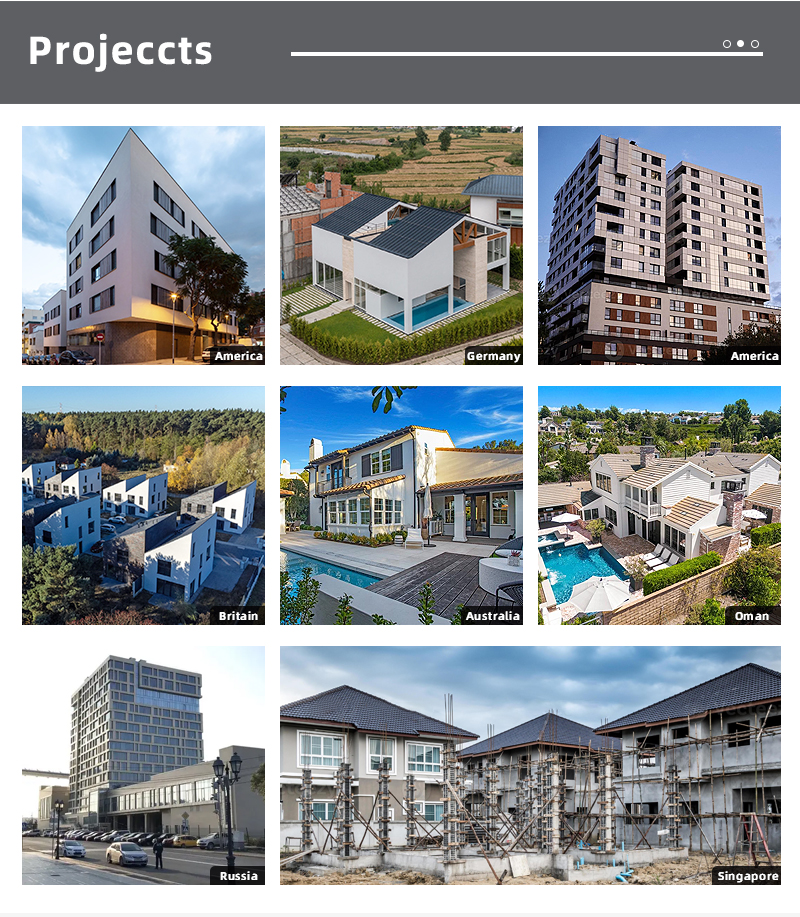 Project Case