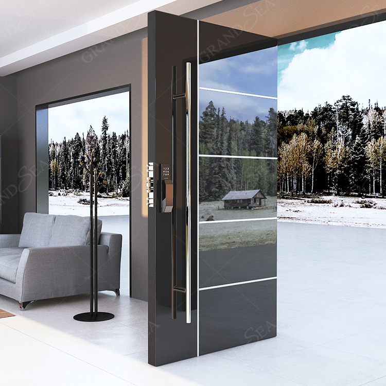 Door Design 6