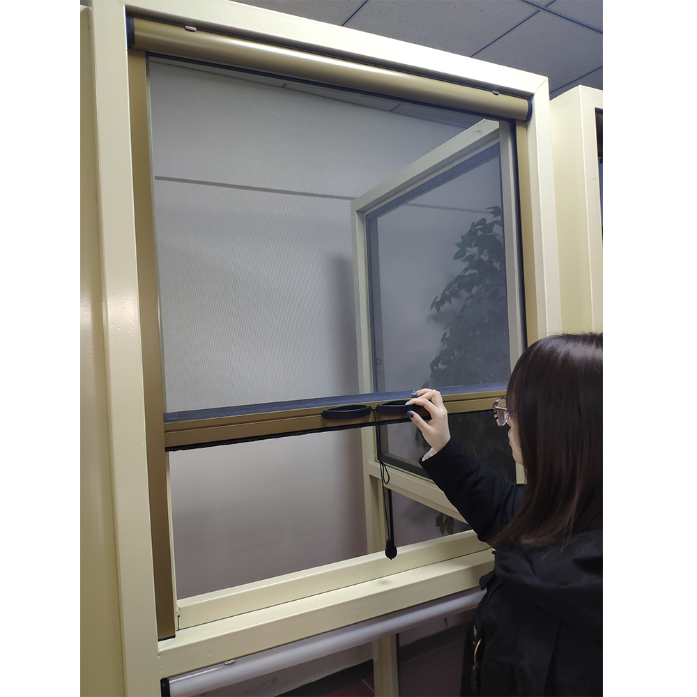 Custom Modern Roller Aluminum Frame Anti Mosquito Dust Insect Net Fiber Glass House Design Up Down Sliding Fly Screen Window