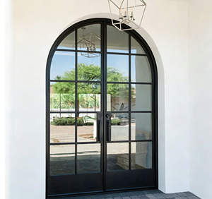 Customized Arched Aluminum Framed Swing Glass Door Crittall Style Entrance Metal French Doors for Homes