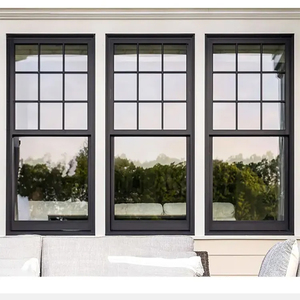 Landsharp As2047 Commercial Double Glazed Aluminium Windows for Hotel