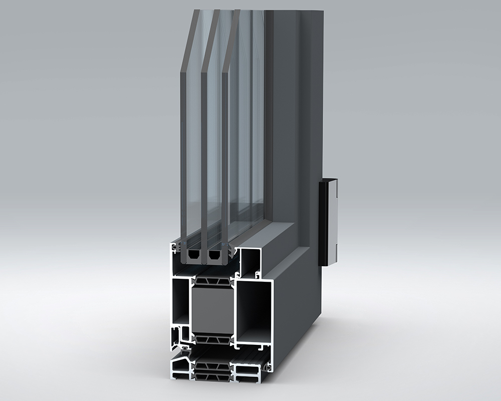Profile Section 2